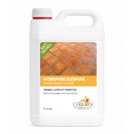 Hydrofuge Aspect Mouillé Terres Cuites & Tomettes